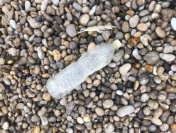 Déchet bouteille plastique plage